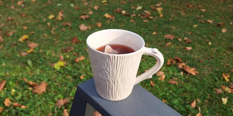 A cup of tea in autumn, fallen leaves on grass in the background